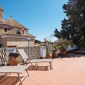  Appartement Penthouse Private Terrace, Near Cathedral, And To Real Maestranza